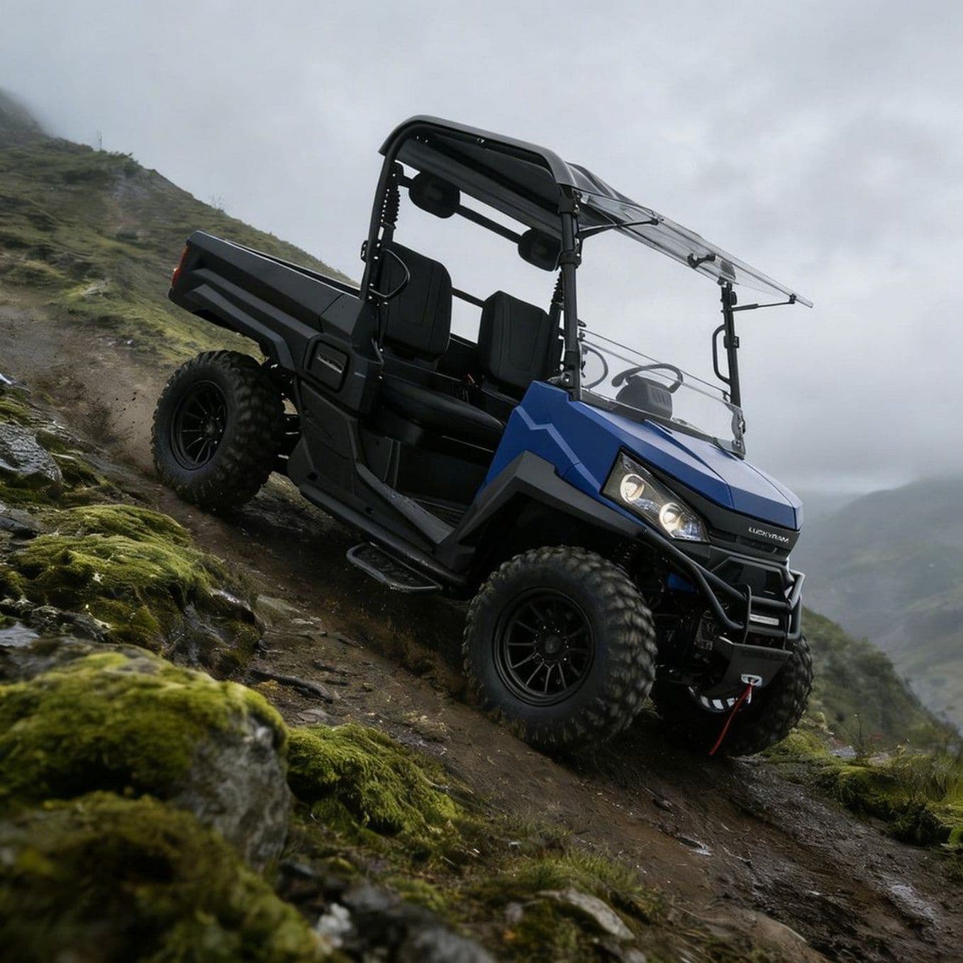 10KW AC-motor 4WD UTV 73,6V 150Ah 670kg Belastning 400mm Vadning