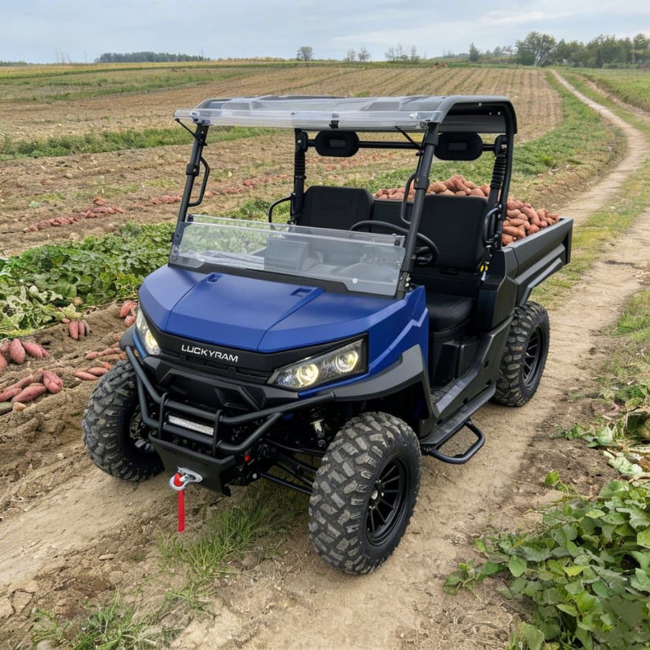 73,6V 4WD UTV 10kw AC Motor EPS Styrning 150ah batteri