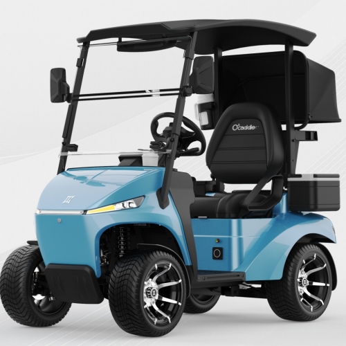 Ensits golfbil i partihandel med 48V litiumbatteri. Litiumbatteri för gatulovlig och praktisk elektrisk golfbil.